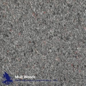 Muir Woods
